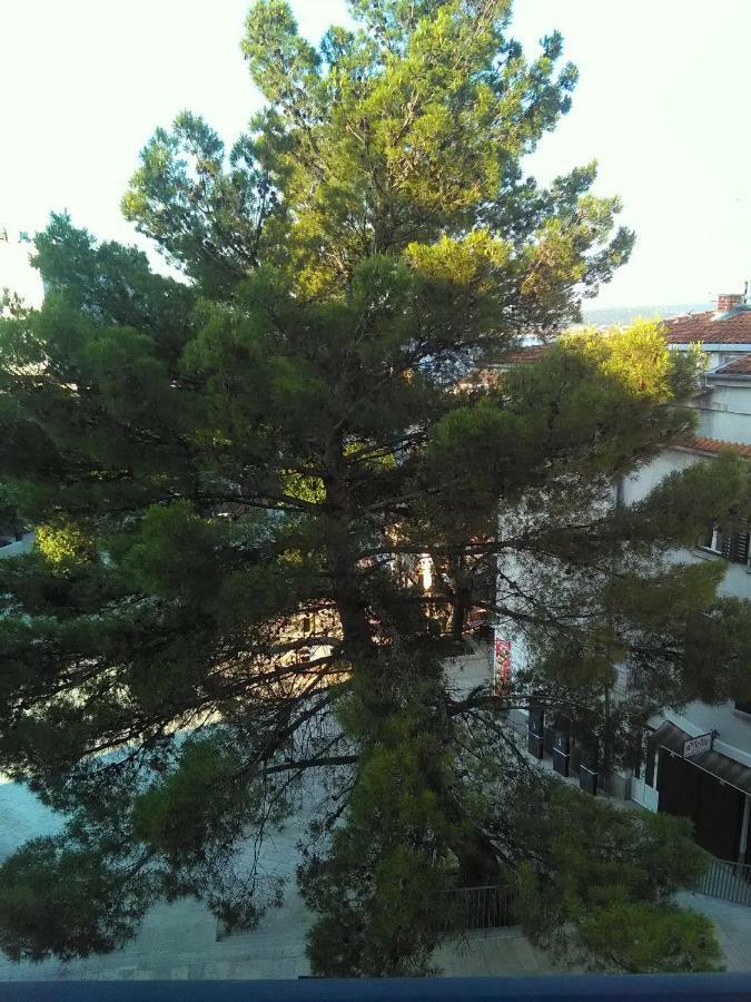 Apartment Sandra 2+2 *** Crikvenica Eksteriør bilde